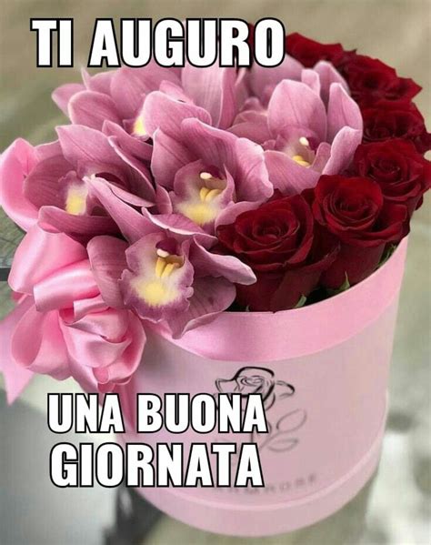 immagini di buona giornata